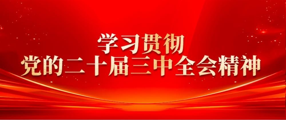 學(xué)習(xí)貫徹黨的二十屆三中全會(huì)精神② 產(chǎn)發(fā)園區(qū)集團(tuán)董事長(zhǎng)劉孝萌：抓好“建、招、儲(chǔ)、運(yùn)”,建設(shè)高質(zhì)量產(chǎn)業(yè)園區(qū)